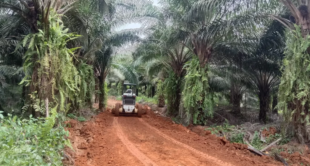 IMG_20221006_141026_result Nama Projek