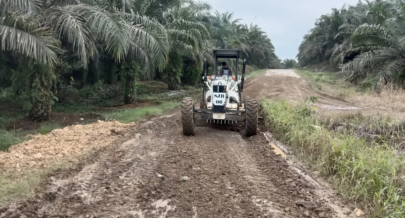 IMG_20221015_151424_result Nama Projek