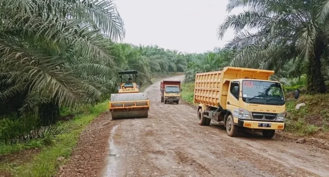 WhatsApp Image 2023-01-31 at 09.25.22_result WhatsApp Image 2023-01-31 at 09.25.22_result